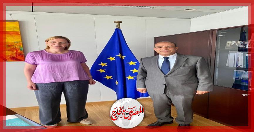 المصريين بالخارج