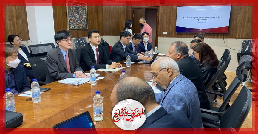 المصريين بالخارج