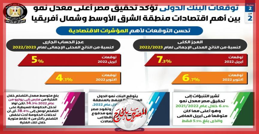 المصريين بالخارج