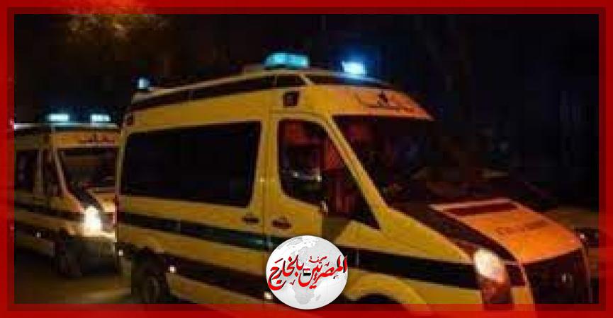 المصريين بالخارج