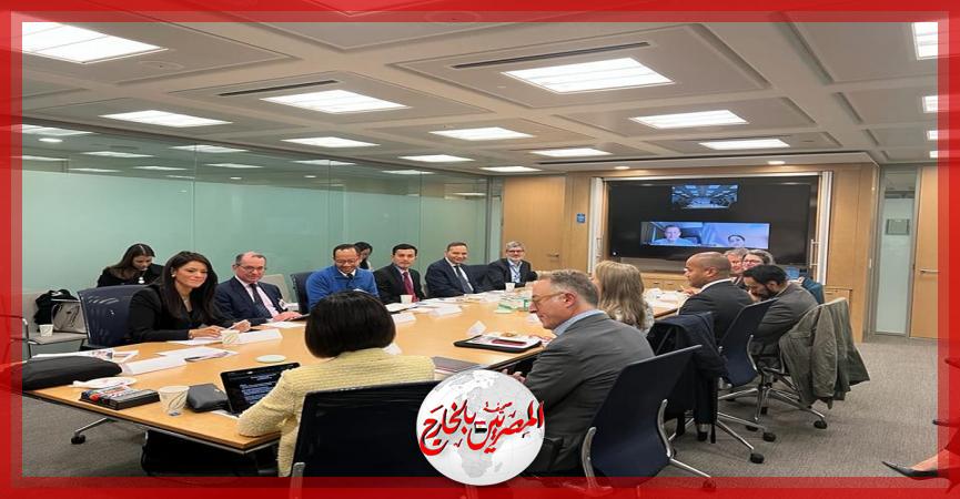المصريين بالخارج