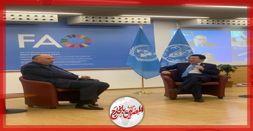 المصريين بالخارج