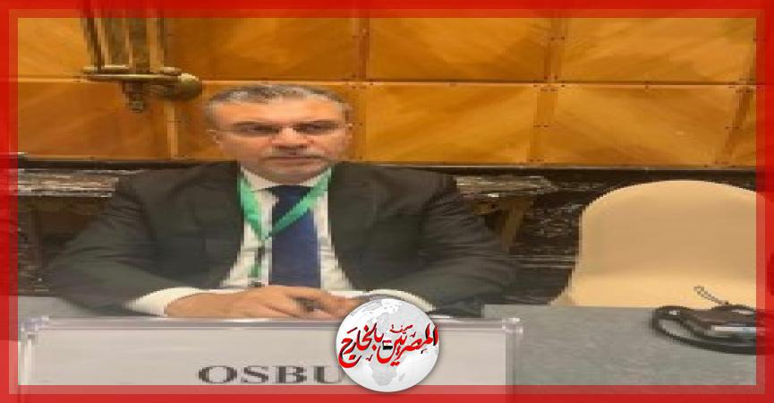 المصريين بالخارج