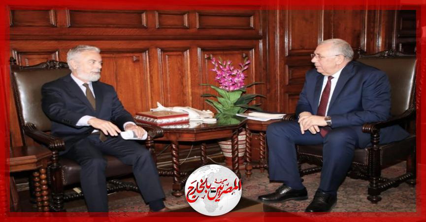 المصريين بالخارج