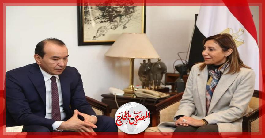 المصريين بالخارج