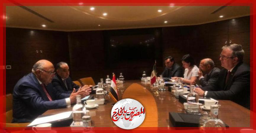 المصريين بالخارج