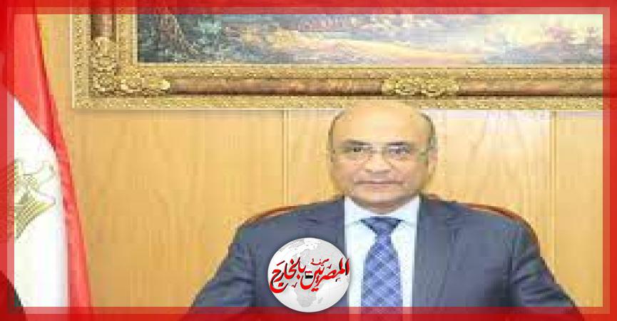 المصريين بالخارج