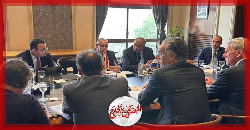 المصريين بالخارج