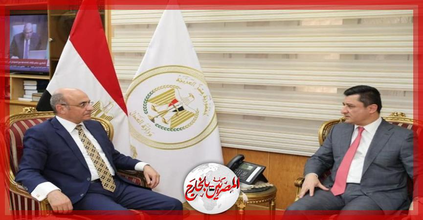 المصريين بالخارج