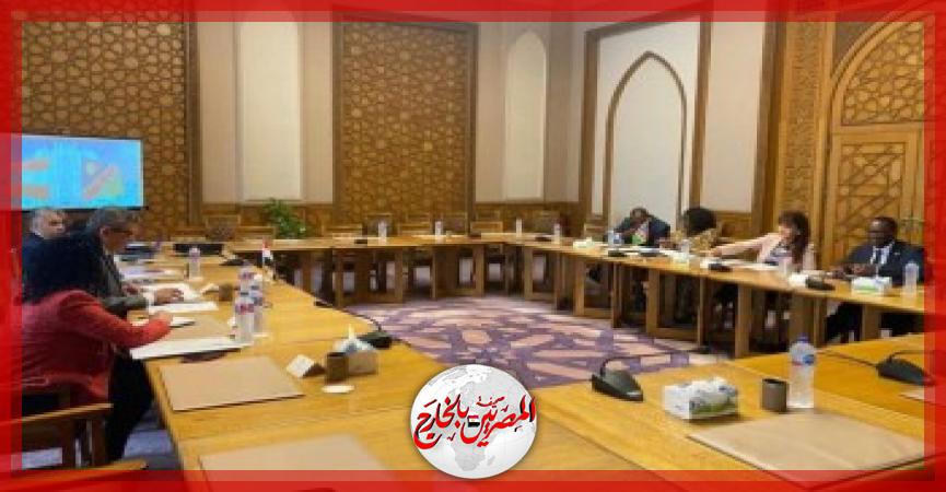 المصريين بالخارج