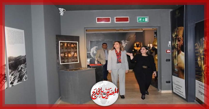 المصريين بالخارج