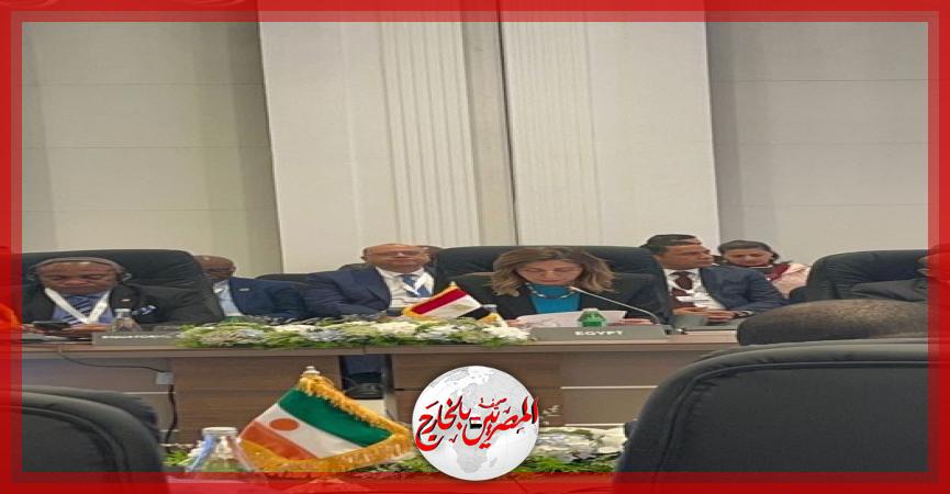 المصريين بالخارج