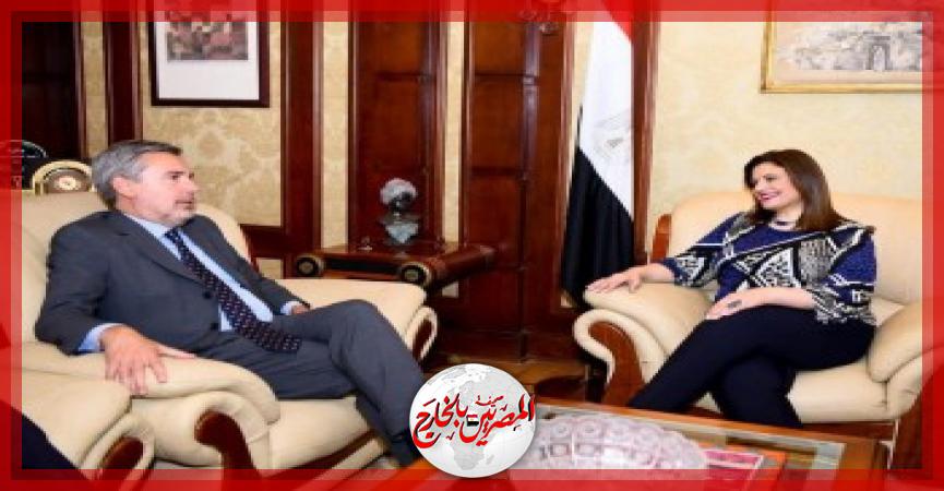 المصريين بالخارج