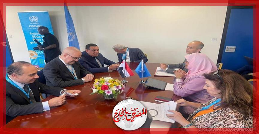 المصريين بالخارج