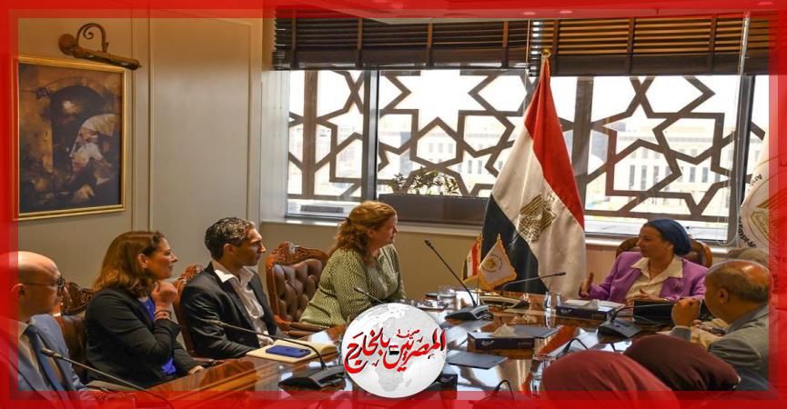 المصريين بالخارج