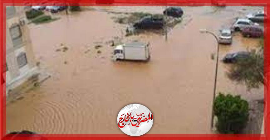 المصريين بالخارج