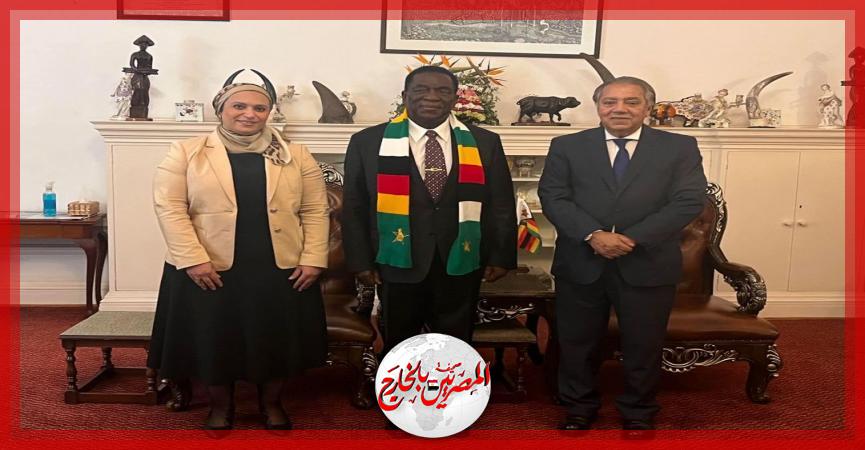 المصريين بالخارج