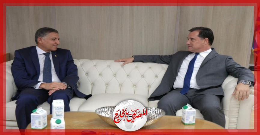 المصريين بالخارج