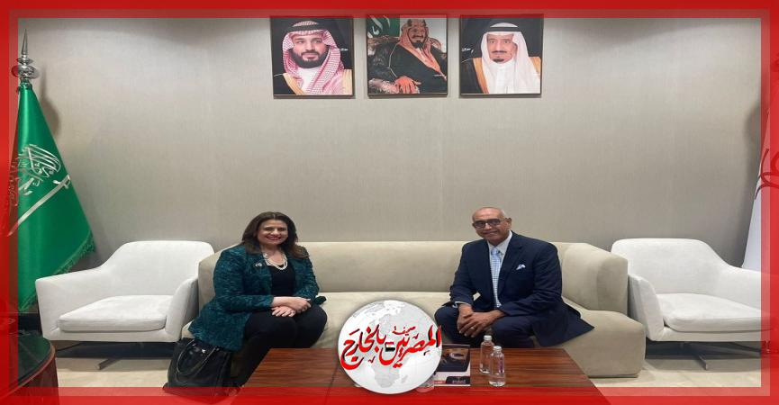 المصريين بالخارج