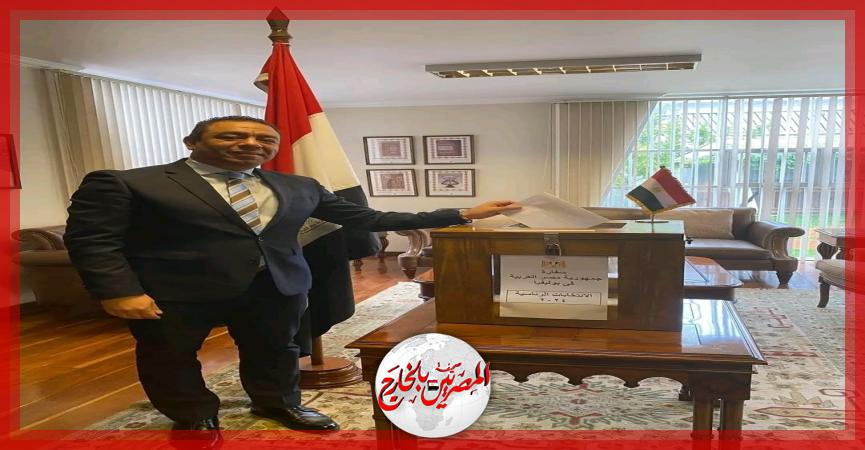 المصريين بالخارج