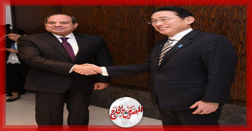 المصريين بالخارج