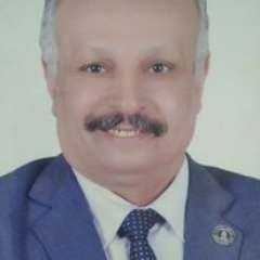 د. محمد حجازى يكتب ..الانتخابات الرئاسية  ٢٠٢٤ م ومسار التطور الديموقراطي في مصر