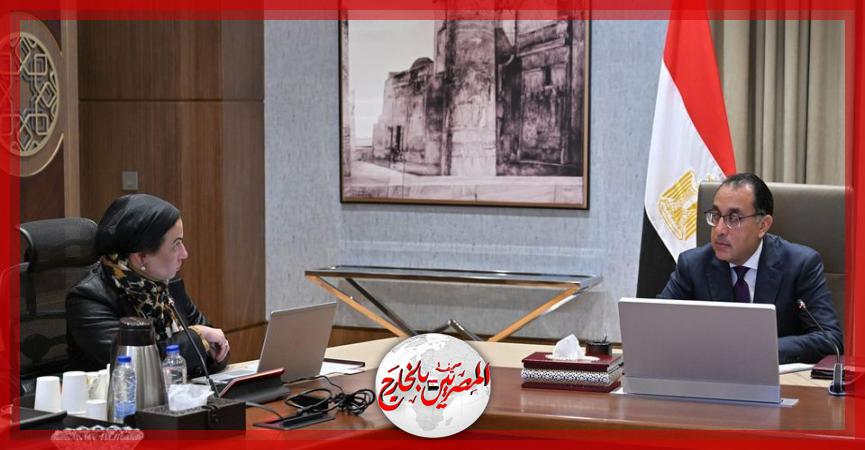 المصريين بالخارج