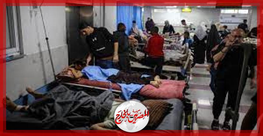 المصريين بالخارج