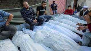 ارتفاع عدد ضحايا العدوان الإسرائيلى على غزة إلى 31 ألفا 819 شهيدا