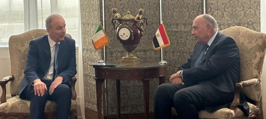 وزير الخارجية يعقد جلسة مباحثات مع نظيره الأيرلندي حول العلاقات الثنائية والحرب في غزة