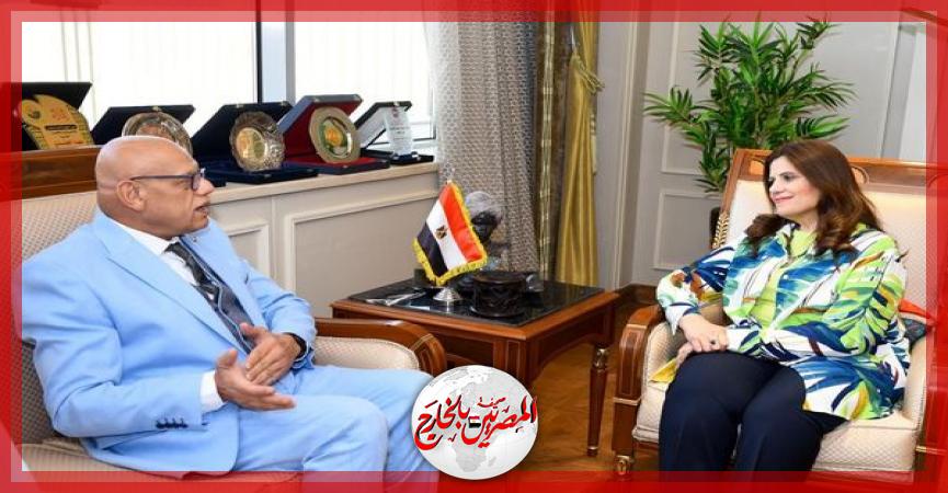 المصريين بالخارج