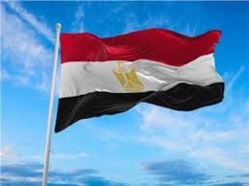 مصدر رفيع المستوى: مصر عازمة على اتخاذ الإجراءات اللازمة لإدانة إسرائيل أمام محكمة العدل الدولية