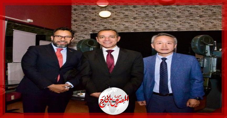 المصريين بالخارج