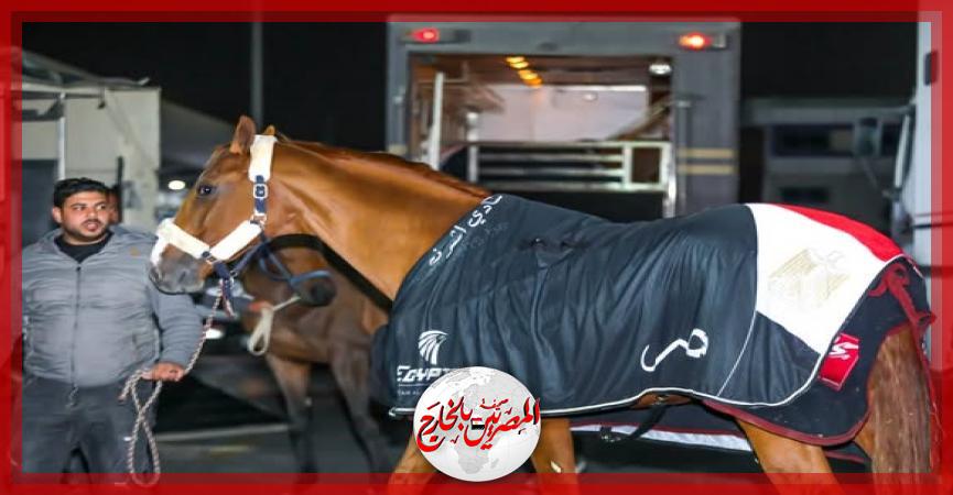 المصريين بالخارج