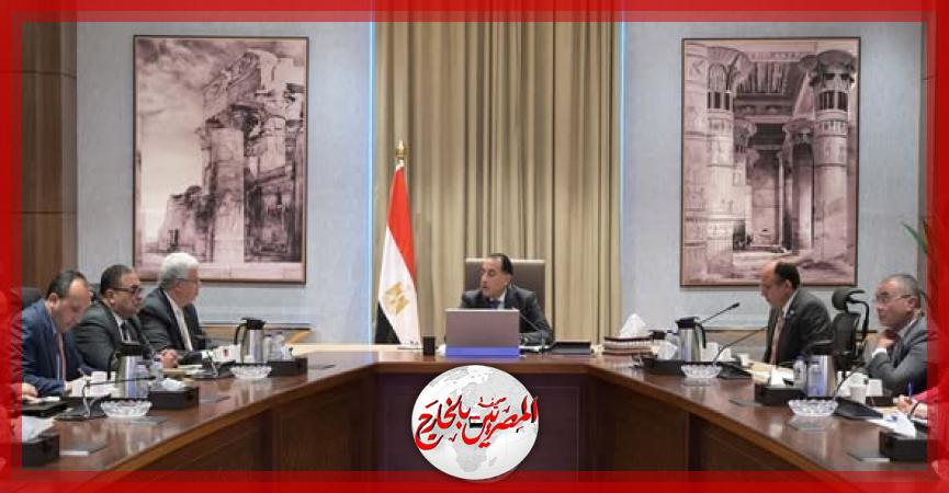 المصريين بالخارج