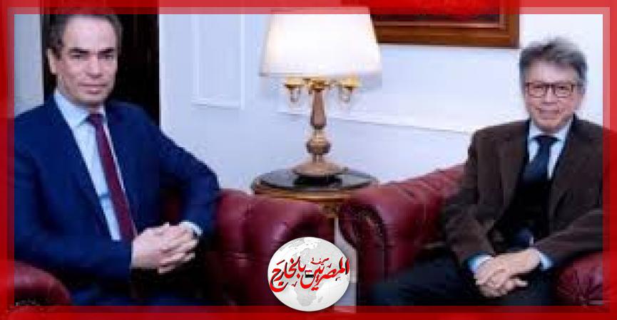 المصريين بالخارج