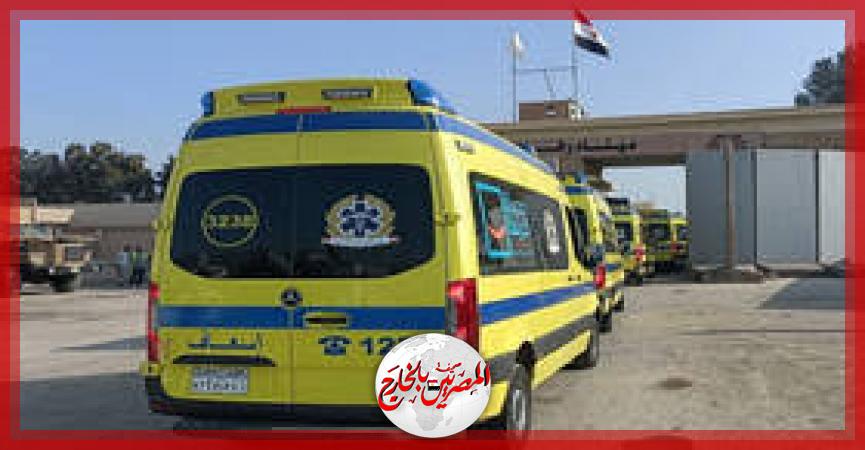 المصريين بالخارج