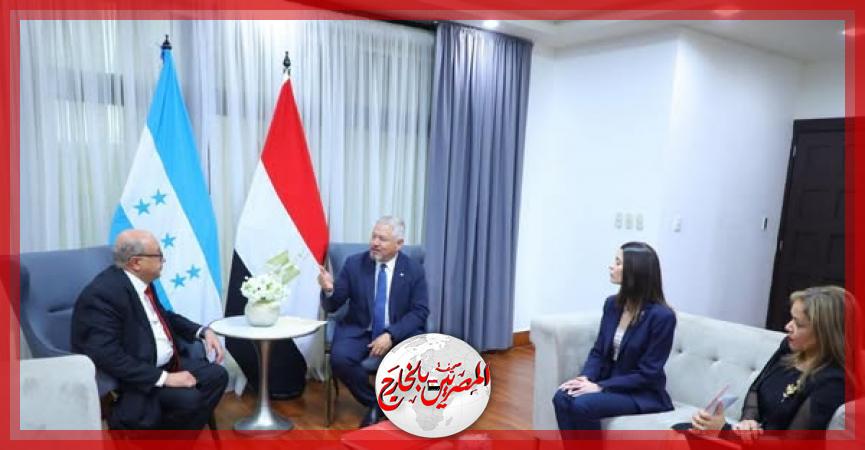 المصريين بالخارج