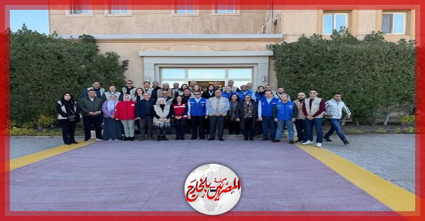 المصريين بالخارج