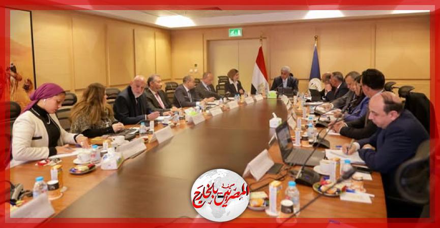 المصريين بالخارج