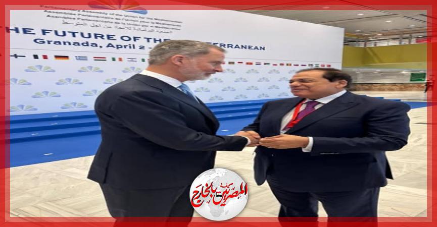 المصريين بالخارج