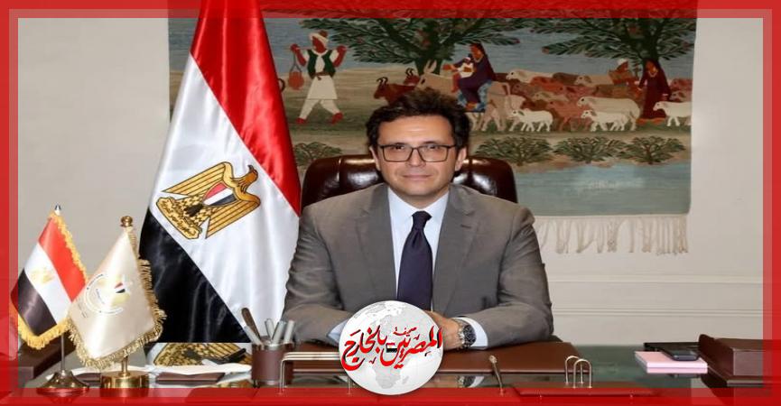 المصريين بالخارج