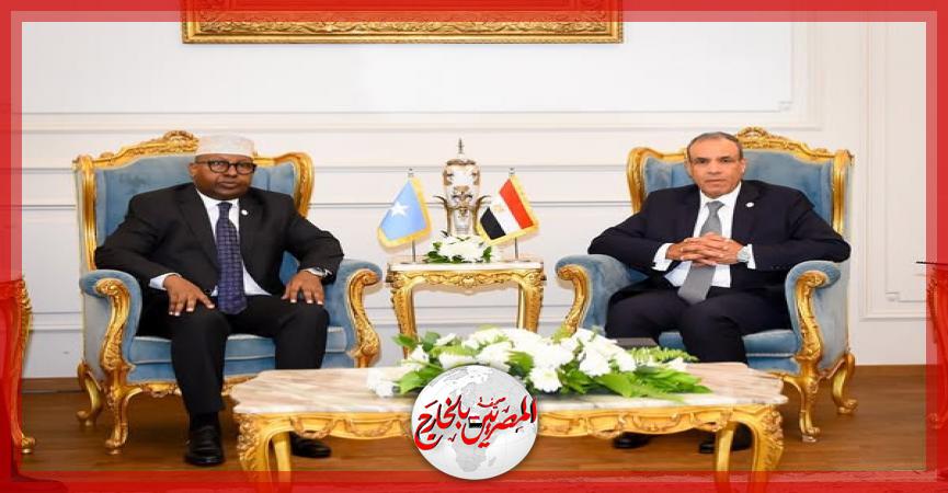 المصريين بالخارج