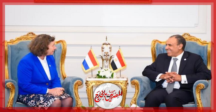 المصريين بالخارج