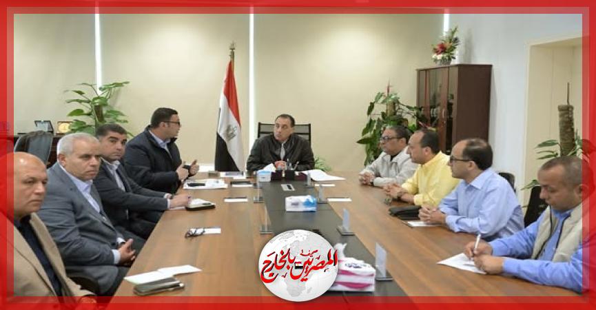 المصريين بالخارج