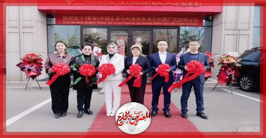 المصريين بالخارج