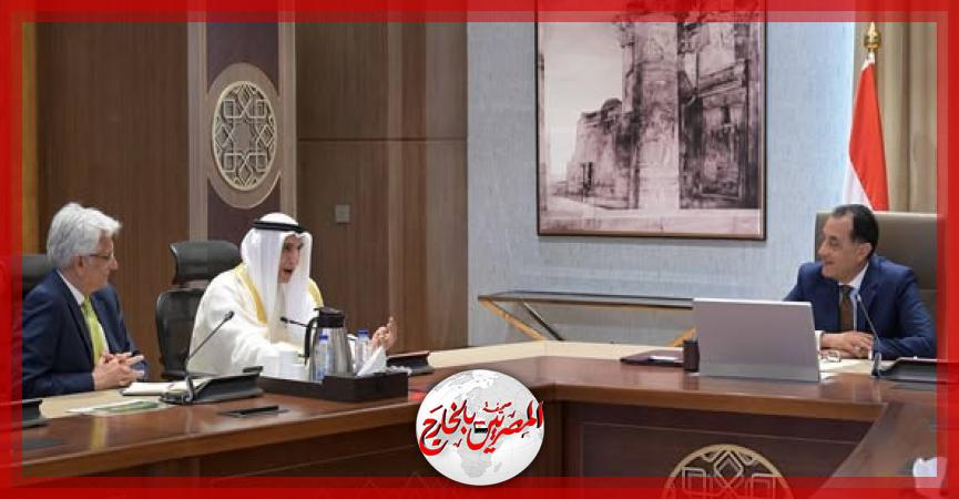 المصريين بالخارج