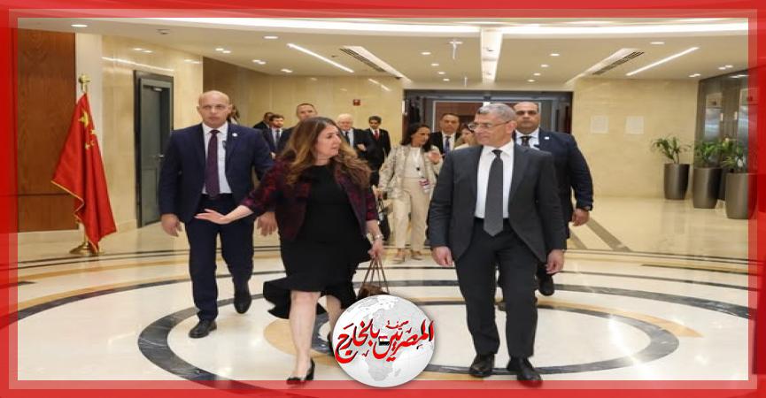 المصريين بالخارج