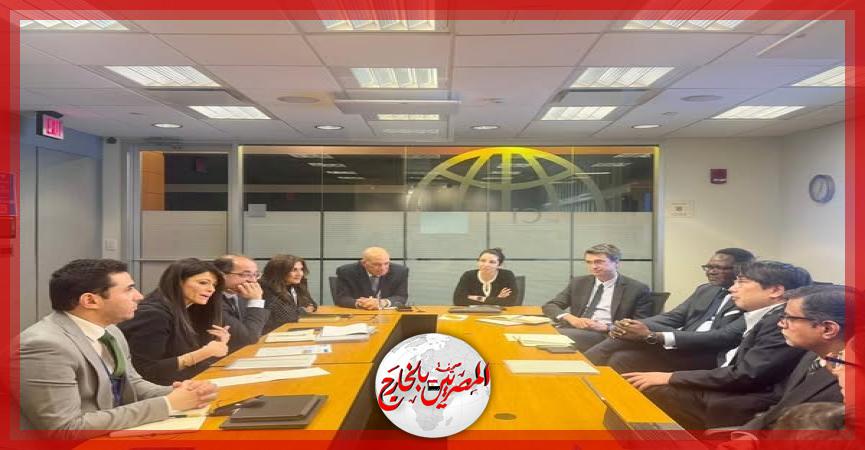 المصريين بالخارج