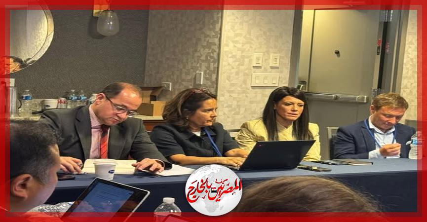 المصريين بالخارج